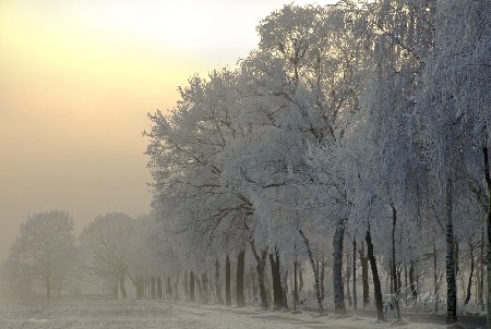 'Winteridylle' in Grossansicht