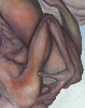 Detail 4 von 'rara'