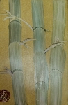 Bambus 2 