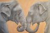 Elefantenliebe von Elke Sommer