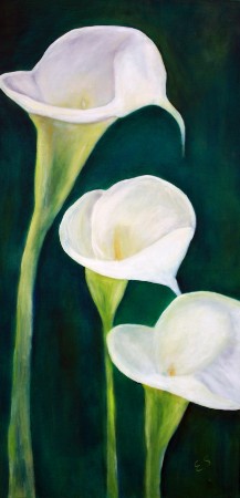 'Calla' in Grossansicht