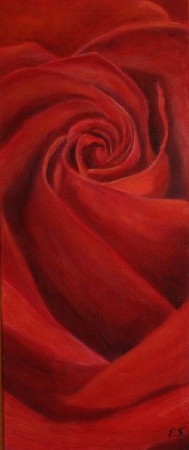 'Rote Rose' in Grossansicht