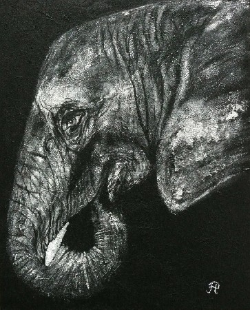 'Elefantenbaby' in Grossansicht