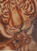 'tiger gold - kupferrot' in Vollansicht