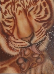 tiger gold - kupferrot