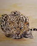 a 12 (1)Leopardi malerei auf Profi lmalblock 50 x 60 cm 