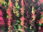 a 6 (1) Acryl auf Leinwand mit Keilrahmen 80 x 60 cm Nordlichter - Kopie 