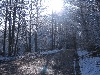 Winter - inverno IMG 0020 von  Orfeu de SantaTeresa