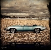 'e-type ' in total view