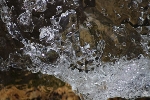 Wasser - água IMG 6433