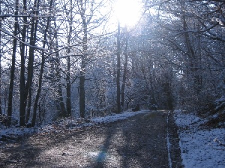 'Winter - inverno IMG 0020' in Grossansicht