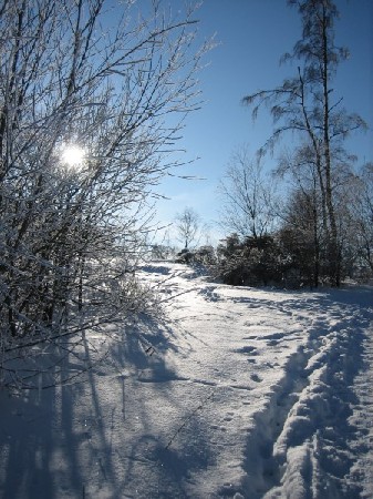 'Winter - inverno IMG 0101' in Grossansicht