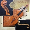 'Stradivari' in Vollansicht