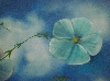 Detail 4 von 'Flying Flowers'