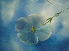 Detail 3 von 'Flying Flowers'