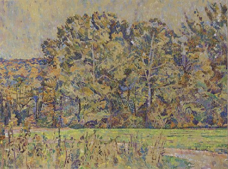 'Landschaft' in Grossansicht