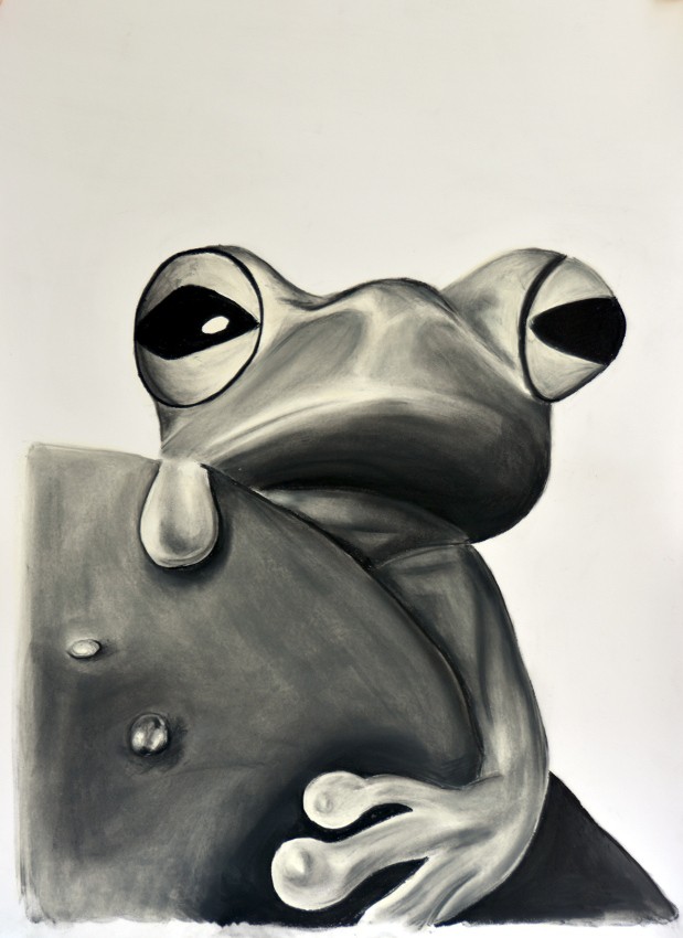 Werk 'Frosch' von 'Alexandra Haise'