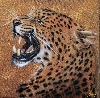 Golden Jaguar von Marcel Gerber