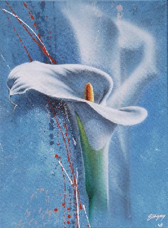 'Calla ' in Grossansicht