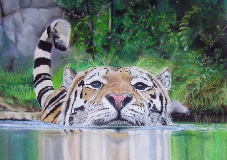 'schwimmender Tiger' in Grossansicht