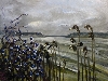 Rgener Boddenlandschaft  