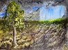 Birnbaum und Wolkenfenster von Malerfürst von Rügen