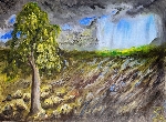 Birnbaum und Wolkenfenster