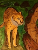 tarvom / cheetah with hollow tree