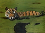 Swimming Tiger 