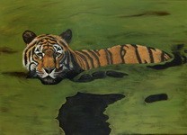 'Swimming Tiger ' in Grossansicht